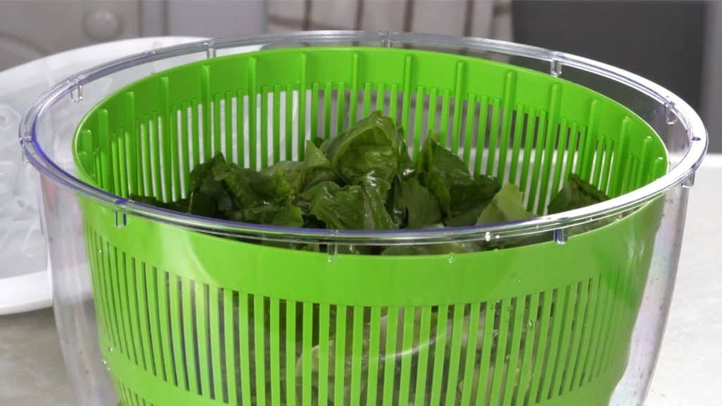 chopped romaine lettuce in a salad spinner